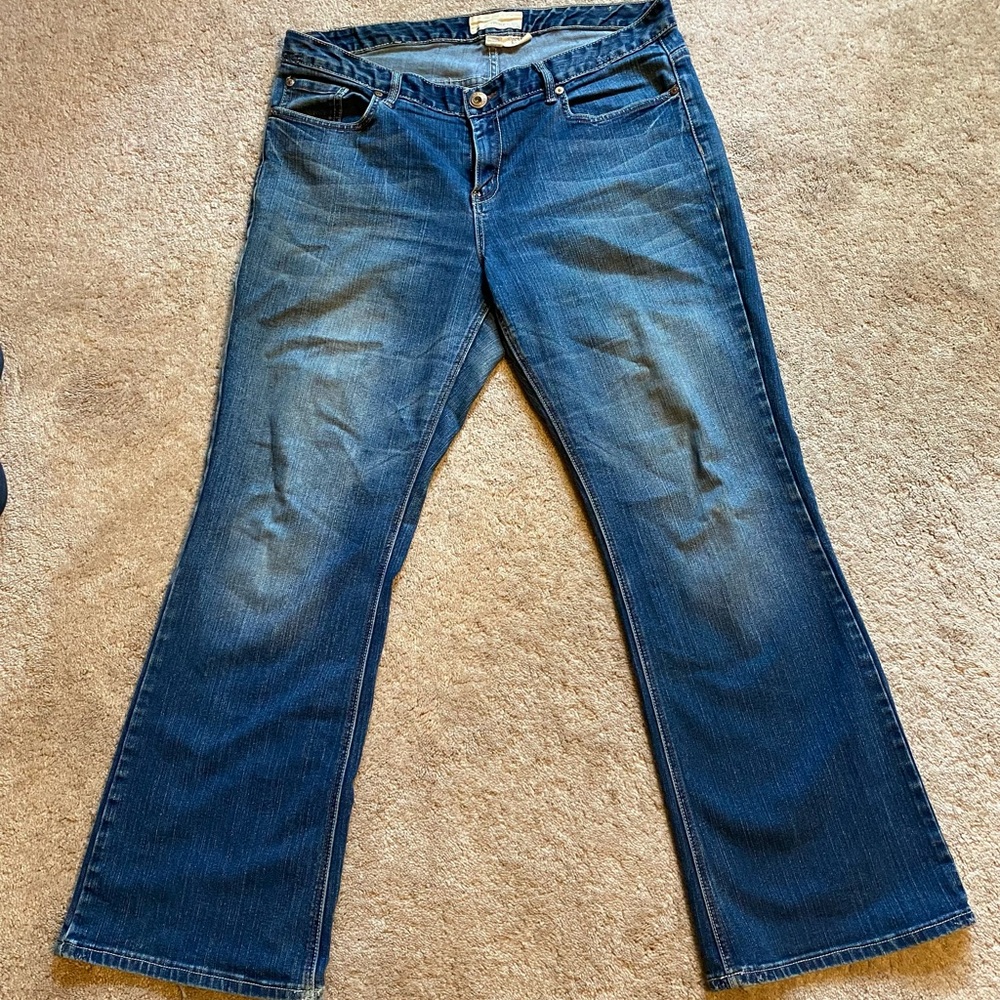 Maurices Orchid Bootcut Jeans Size 18 Regular